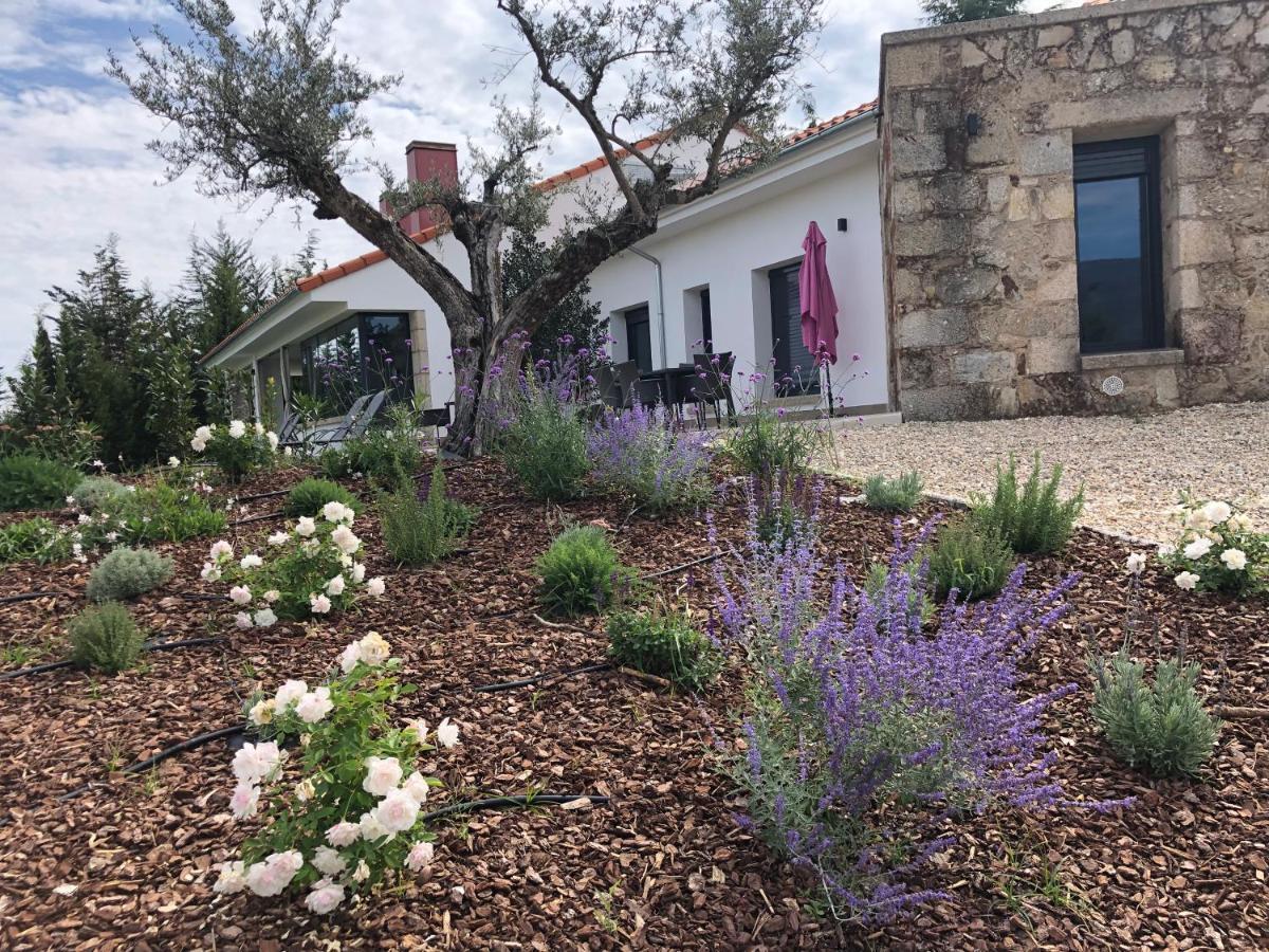 Apartamentos Rurales La Gloria De Yuste Jaraiz de la Vera Εξωτερικό φωτογραφία